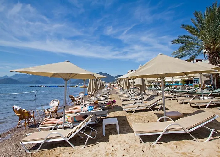 丽斯海滩酒店 酒店 马尔马里斯