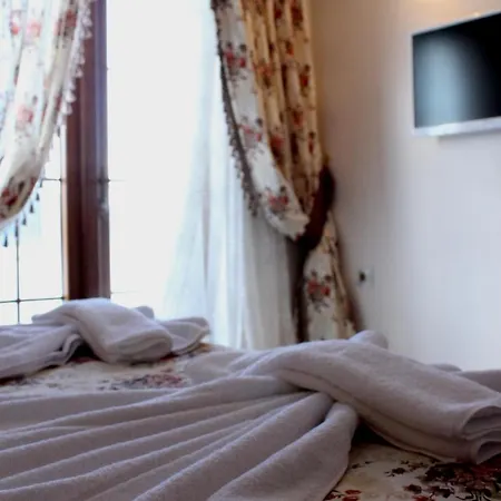 فندق رايز بيتش 3*